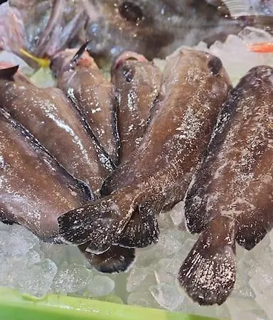 Casa Maite Apartamento