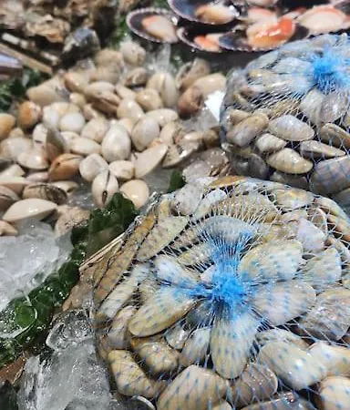 Casa Maite * Palamós