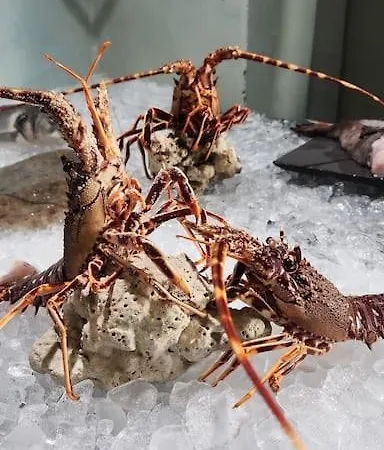 Casa Maite Lägenhet